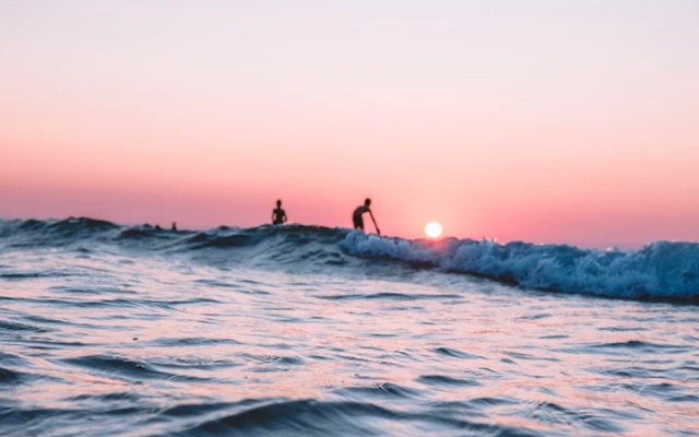 People is surfing in the ocean at sunset.